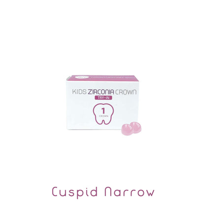 Zirconia TRY-INN CUSPID-NARROW refill