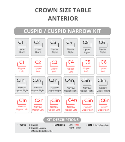 Zirconia, Children's Crown, TRY-INN, CUSPID, Refill, 2 pieces per box